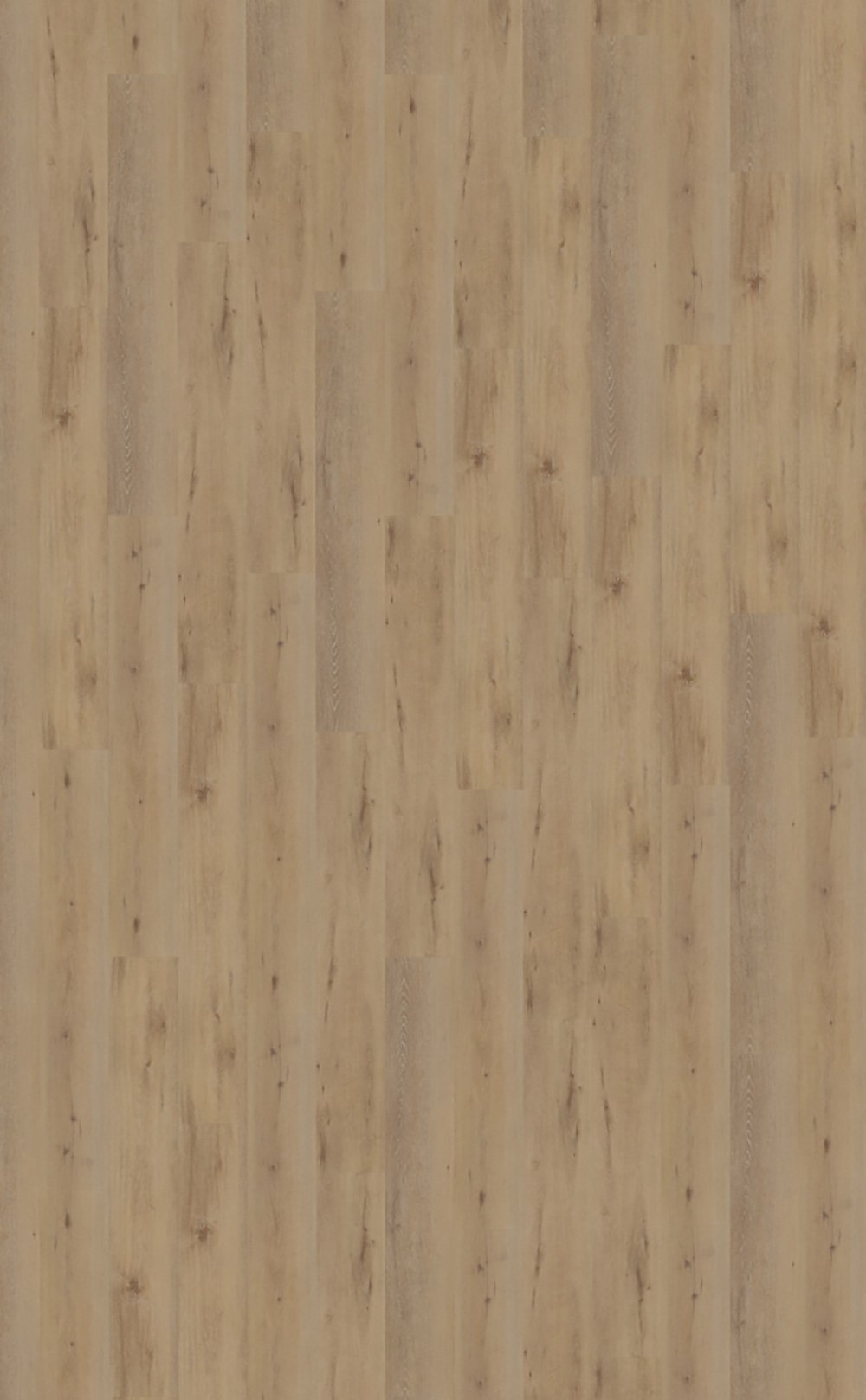 Belakos-PVC–Attico-800_topview