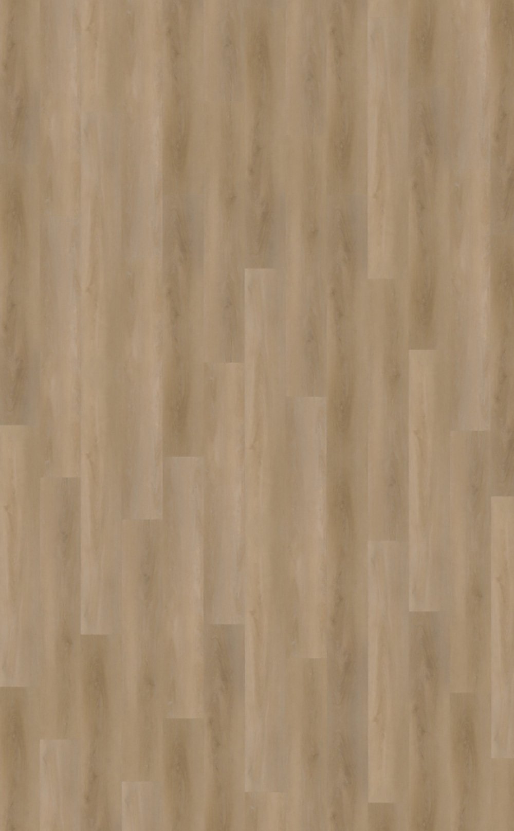 Belakos-PVC–Attico-810_topview