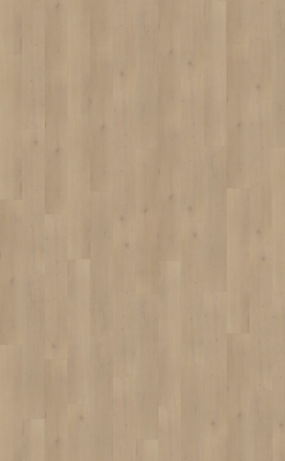 Belakos-PVC–Palazzo-770-_topview-(1)