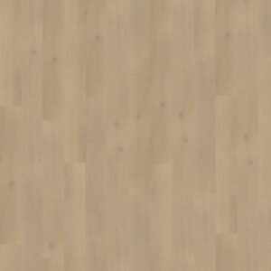 Traptredenset Palazzo 770