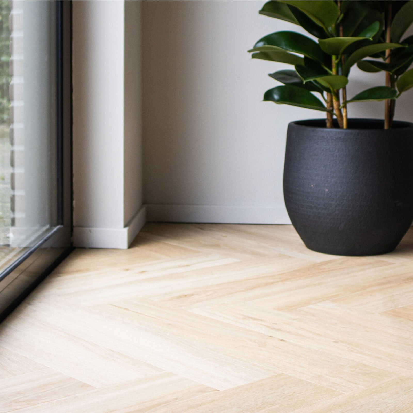 7230-1-1600×0-c-default