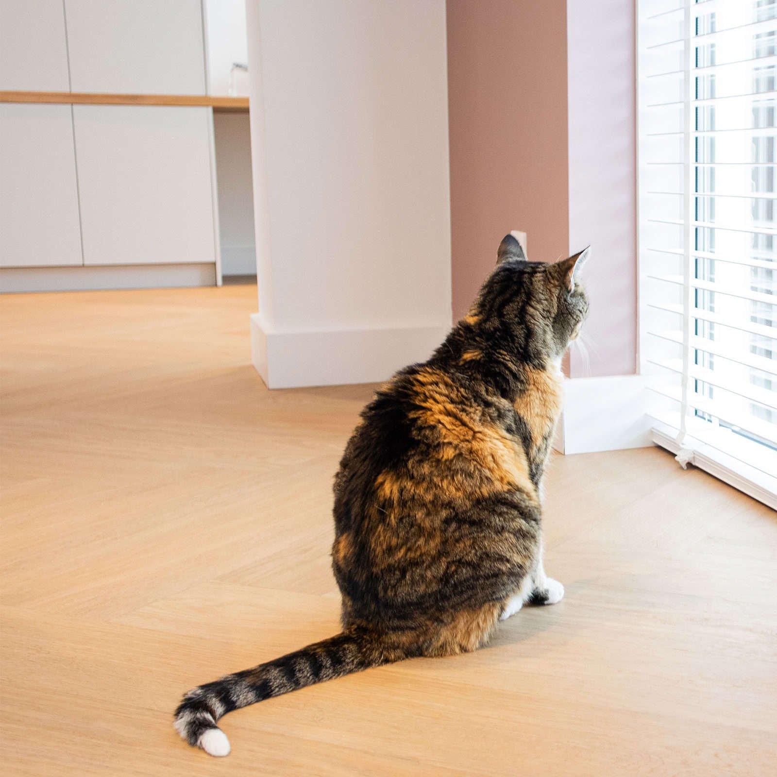 lw7870-3-1600×0-c-default